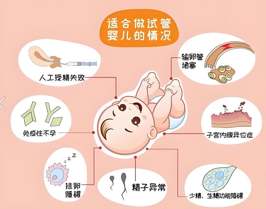 武汉试管婴儿科普干货 从检查到移植一篇看懂