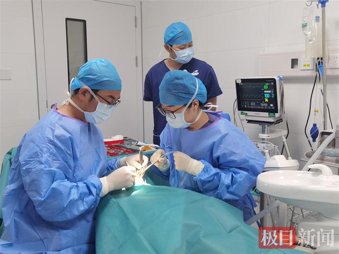 武汉90岁老人种牙行不行 医生说了大实话