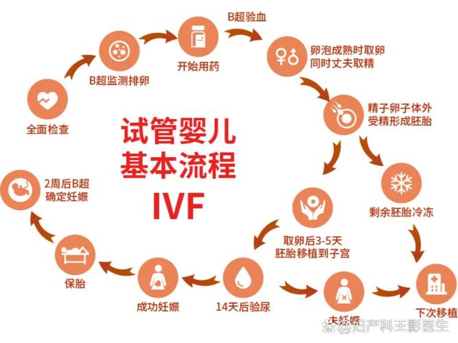 武汉试管婴儿取卵流程详解 从术前到术后一文读懂