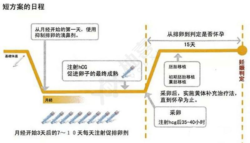 武汉试管促排卵全流程 掌握这几点成功率更高