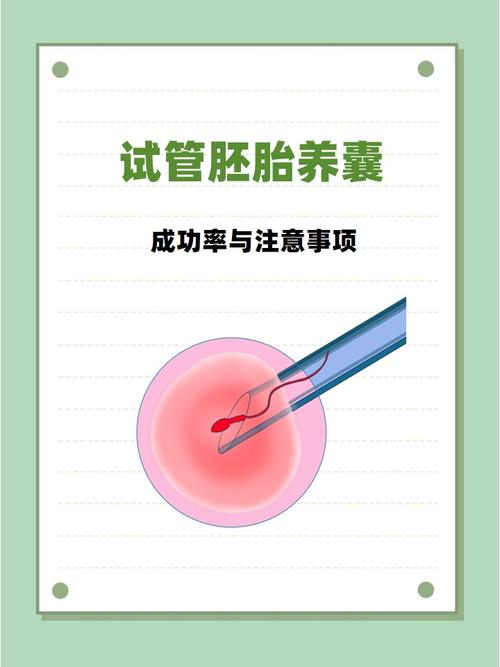武汉囊胚培养是什么?试管成功的关键一步