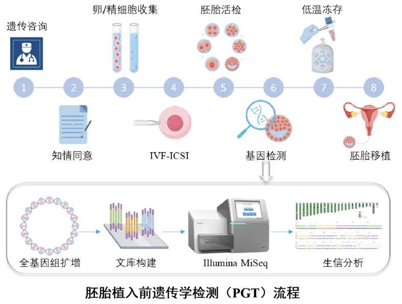 武汉三代试管筛查项目有哪些 能查什么病